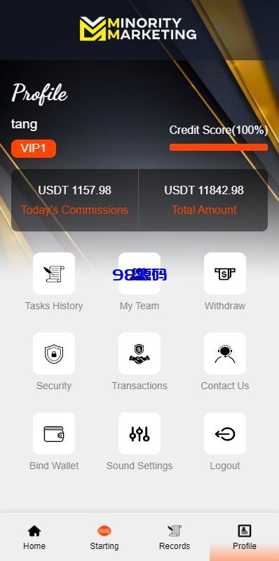 海外抢单刷单系统源码/连单系统/VUE3开发-98源码