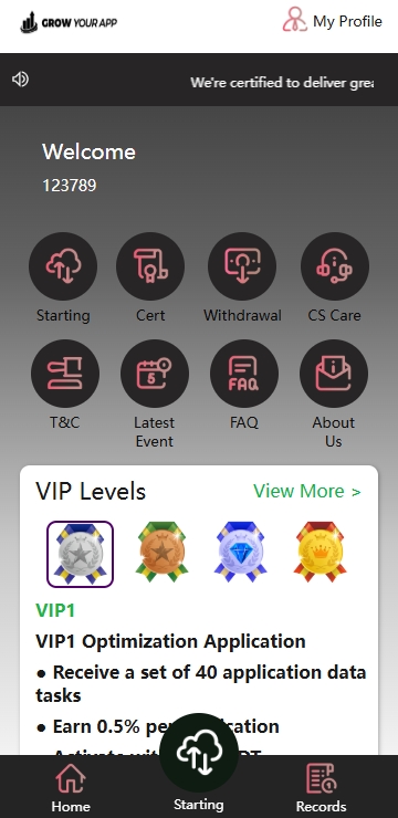 海外抢单刷单系统/模式分组派单/前端uniapp-98源码